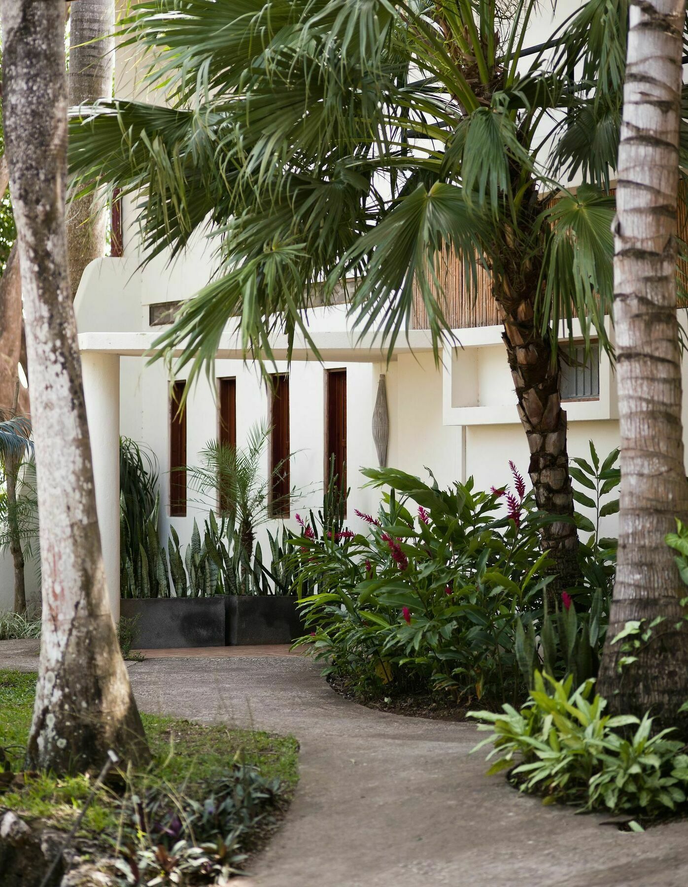 Tierra Magnifica Boutique Hotel Nosara Εξωτερικό φωτογραφία